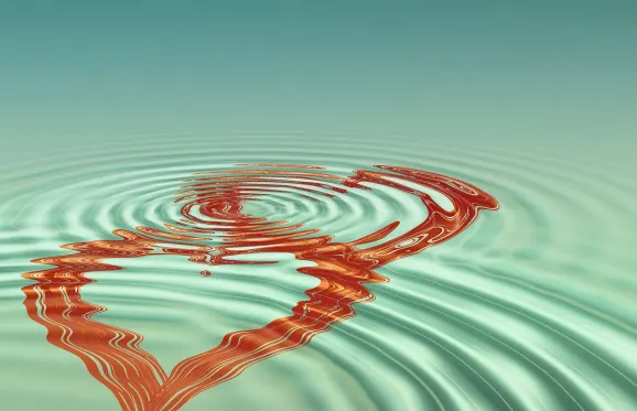 راجبيت كازينو الدعم